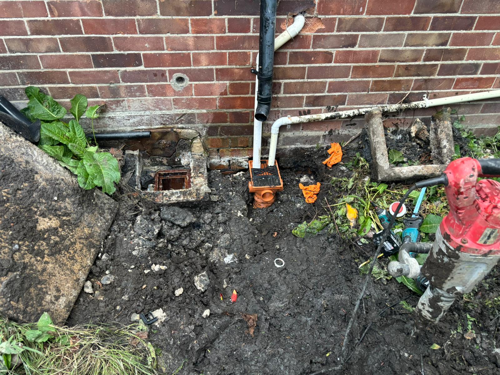 WhatsApp Image 2025 02 03 at 21.25.22